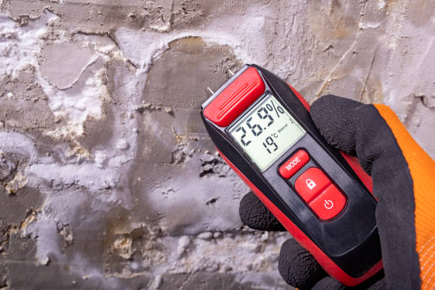 Best Crawl Space Mold Removal  in Bruceville Eddy, TX