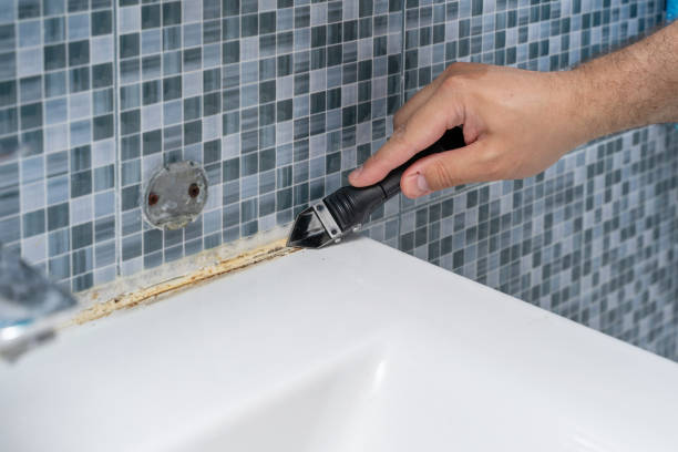 Best Mold Damage Repair  in Bruceville Eddy, TX