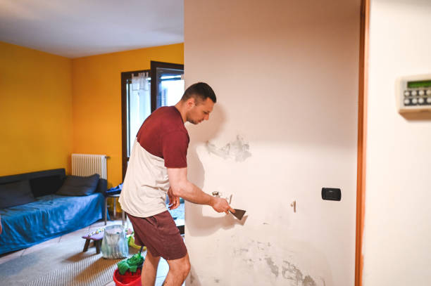 Best Same-Day Mold Removal  in Bruceville Eddy, TX